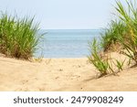 Sand sandy beach dunes wild grass grasses. Lake Erie, Turkey Point, Ontario, Canada. Water sky horizon. Summer summertime no people. Peaceful relaxing idyllic calm. Coastal coastline. 