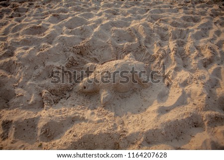 Similar – Zurück ins Wasser Strand