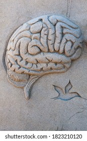 A Sand Sculpture In The Shape Of A Human Brain And A Flying Bird.