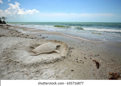 Sand Sculpture Turtle On Fort Myers Beach, Florida. 