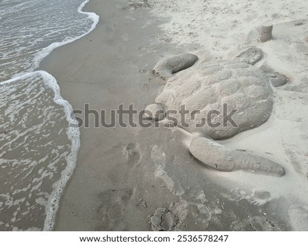 Zurück ins Wasser Strand