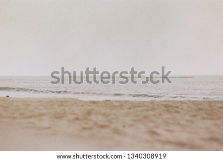 Similar – Image, Stock Photo beach sculptures