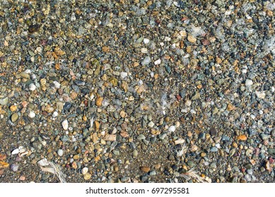 Sand, shell and garbage