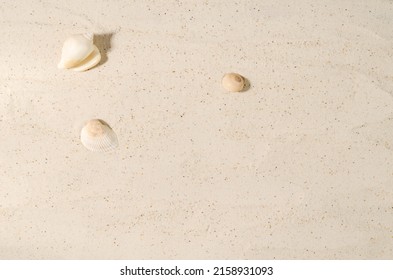 Sand with shells. Blank sand background to showcase beauty products, food, recreation, layout, horizontal image
