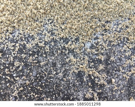 
The sand spreads on the floor. Background and wallpaper.