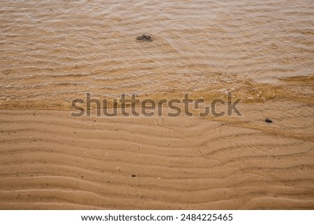 Sand stone texture background. sand on the beach as background. Natural texture, rows of wet sand carved by a receding tide, along the shorelines.  Wavy sand background for summer designs. Top view.