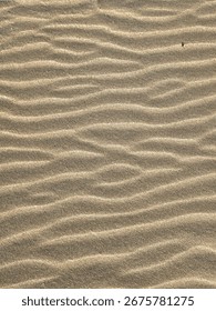 a sand surface with a fine wave pattern that forms naturally, due to wind or water flow.