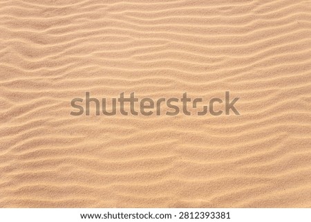 Sand tecture on the beach