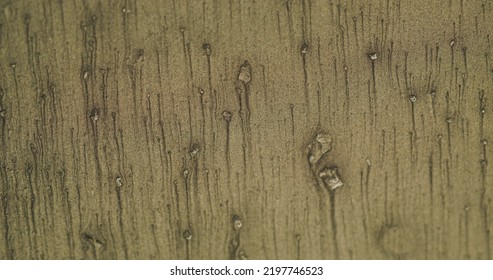 Sand Texture Background. Grain Noise. Particles Pattern. Defocused Martini Olive Beige Color Glitter Drip On Abstract Copy Space Wallpaper.