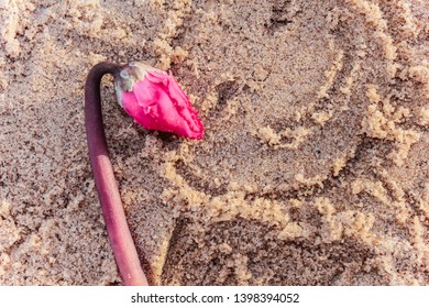 Sand Texture (background) With Hat,  Sunscreen (suncream), Sunglasses On The Beach.  The Empty Pattern For Message. Summer Vacations Concept. 