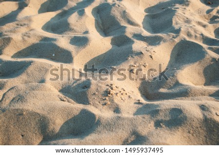 Sand texture of golden color. Beautiful sandy background.