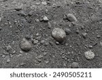 Sand texture with a mixture of small stones