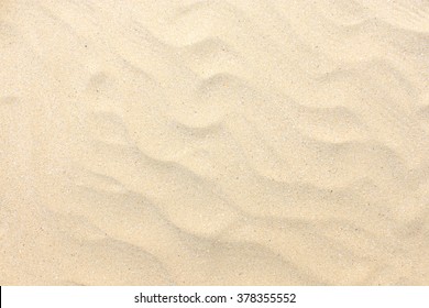 Sand Texture. Sandy Beach For Background. Top View