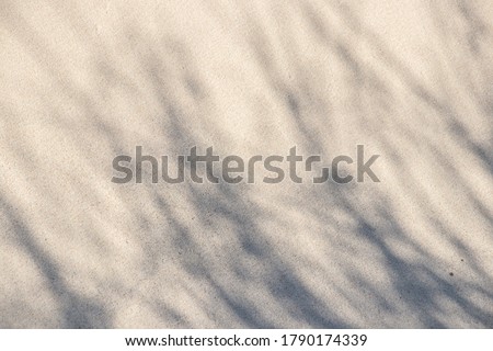 Sand texture. Shadows and patterns on the sand of dune. Background, sand, light, beige, wave, reflect, shadow, summer. Background with sand and shadows.