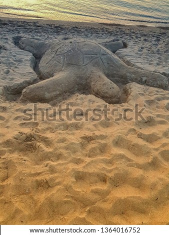 Similar – Zurück ins Wasser Strand