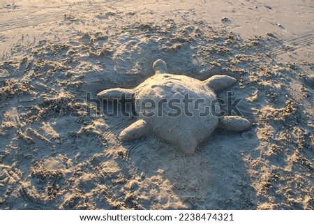 Similar – Zurück ins Wasser Strand