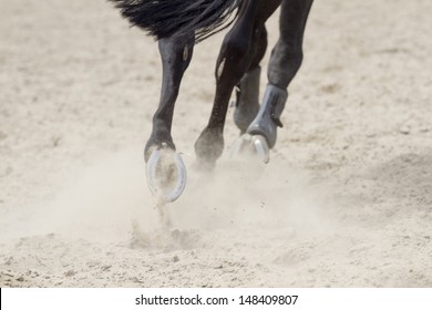 Sand under the hooves of the horse.