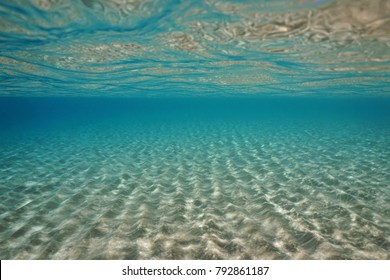 20,246 Under the sea photo Images, Stock Photos & Vectors | Shutterstock
