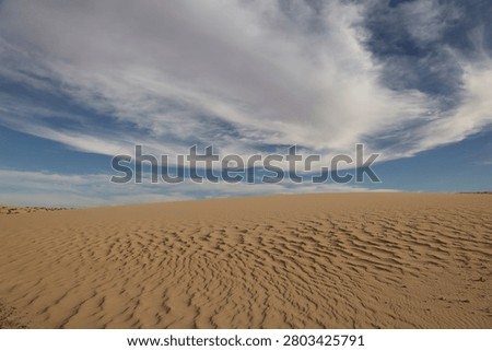 Sand waves drawn by the wind in the Mauritanian desert