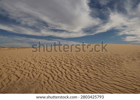 Sand waves drawn by the wind in the Mauritanian desert