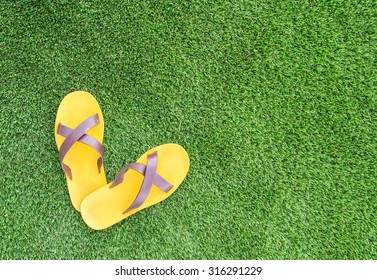 Sandal On Green Grass Background Stock Photo 316291229 | Shutterstock
