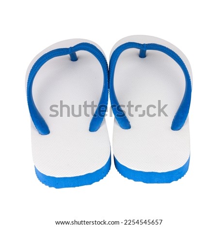 sandals  flip flops color blue isolated on white background.