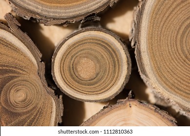 Sandalwood Core Macro