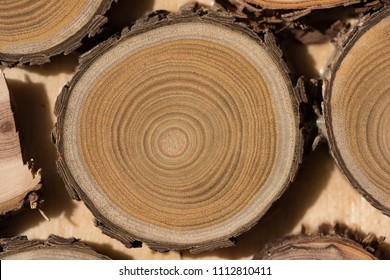 Sandalwood Core Macro