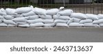 Sandbags for flood defense, river Moselle Trier in Rhineland Palatinate, flooded trees and paths, high water level, climate change 