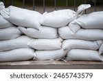 Sandbags for flood defense, river Moselle Trier in Rhineland Palatinate, flooded trees and paths, high water level, climate change 