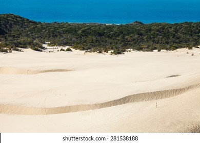 Sandblow In Fraser Island Australia