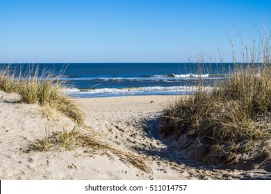 Sandbridge Beach in Virginia Beach, Virginia with beach grass on dunes and ocean background.