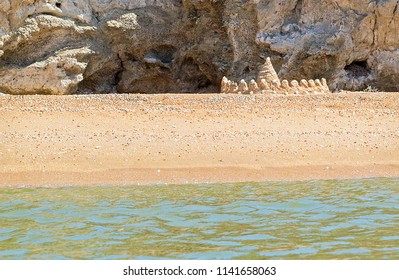 Sandcastle decorated with shells on empty beach.