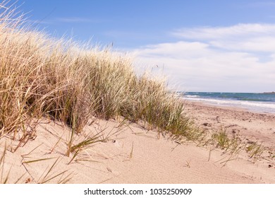 Sanddunes In Gotland Sweden