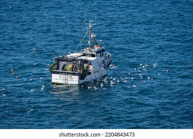 Sandefjord, Norway - August 10 2022: Sea Gulls Gathering Around A Small Trawler.