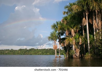 Sandoval Oxbow Lake With Rainbow - Near Puerto Maldonado, Peru (Amazon)