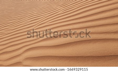 Sands desert in evening. The dunes up close.
