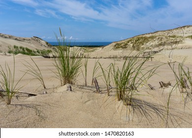 Sands Dune. Lithuania.  Isthmus Of Courland