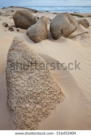 Similar – Sea snails on the beach