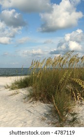 Sand,Seaoats,sky On Florida Gulf Coast Madeira Beach Florida