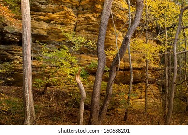 Sandstone Cliffs In Hocking County, Ohio