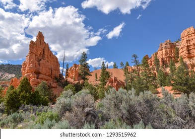 sandstone cliffs and hoodoos at Red Canyon in Dixie National Forest (Garfield County, Utah)