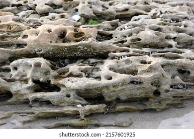 Sandstone Cliffs On Odessa Beach, Black Sea, Ukraine