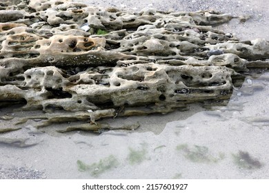 Sandstone Cliffs On Odessa Beach, Black Sea, Ukraine