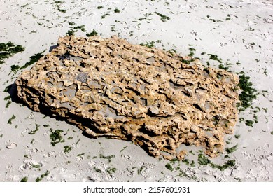 Sandstone Cliffs On Odessa Beach, Black Sea, Ukraine