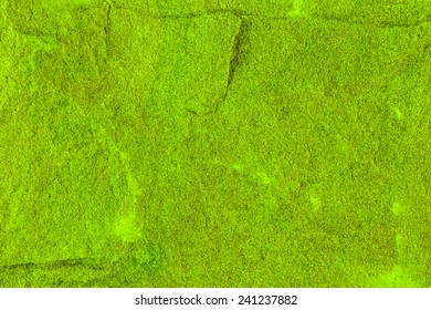 Sandstone green background