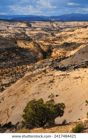 The sandstone landscape of Calf Creek Canyon from The Hogback stretch of Utah Scenic Highway 12, Grand Staircase-Escalante National Monument between Escalante and Boulder, Utah, southwest USA.