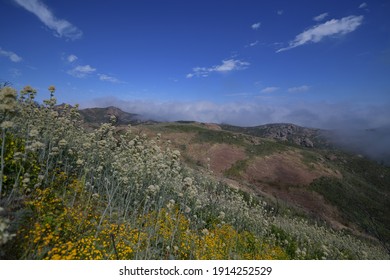 Sandstone Peak Trail Of Malibu Has Very Beautiful View In Spring