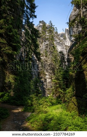 Similar – Image, Stock Photo In the Adersbach-Weckelsdorf Rock Town