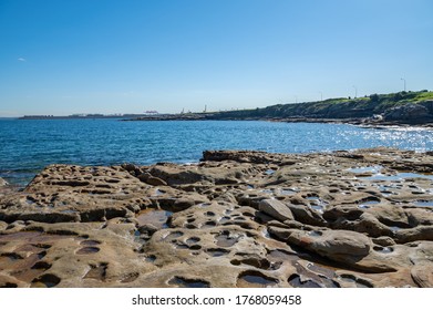 Sandstone Shore Platform At Bare Island Fort, La Perouse